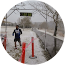 Cesar Colli Cesar Colli